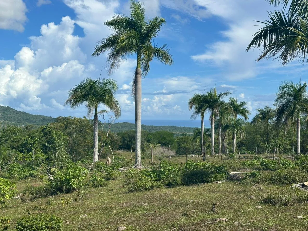 Terreno a El Cupey, Puerto Plata – Vista sul Mare e sulla Montagna, foto 7