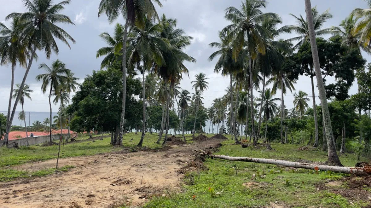 Grundstück in Santa Bárbara, Samaná, Foto 6