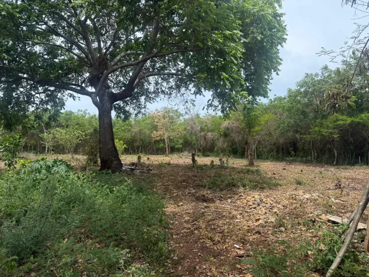 Terreno amplio en venta en Juan Dolio, foto 5