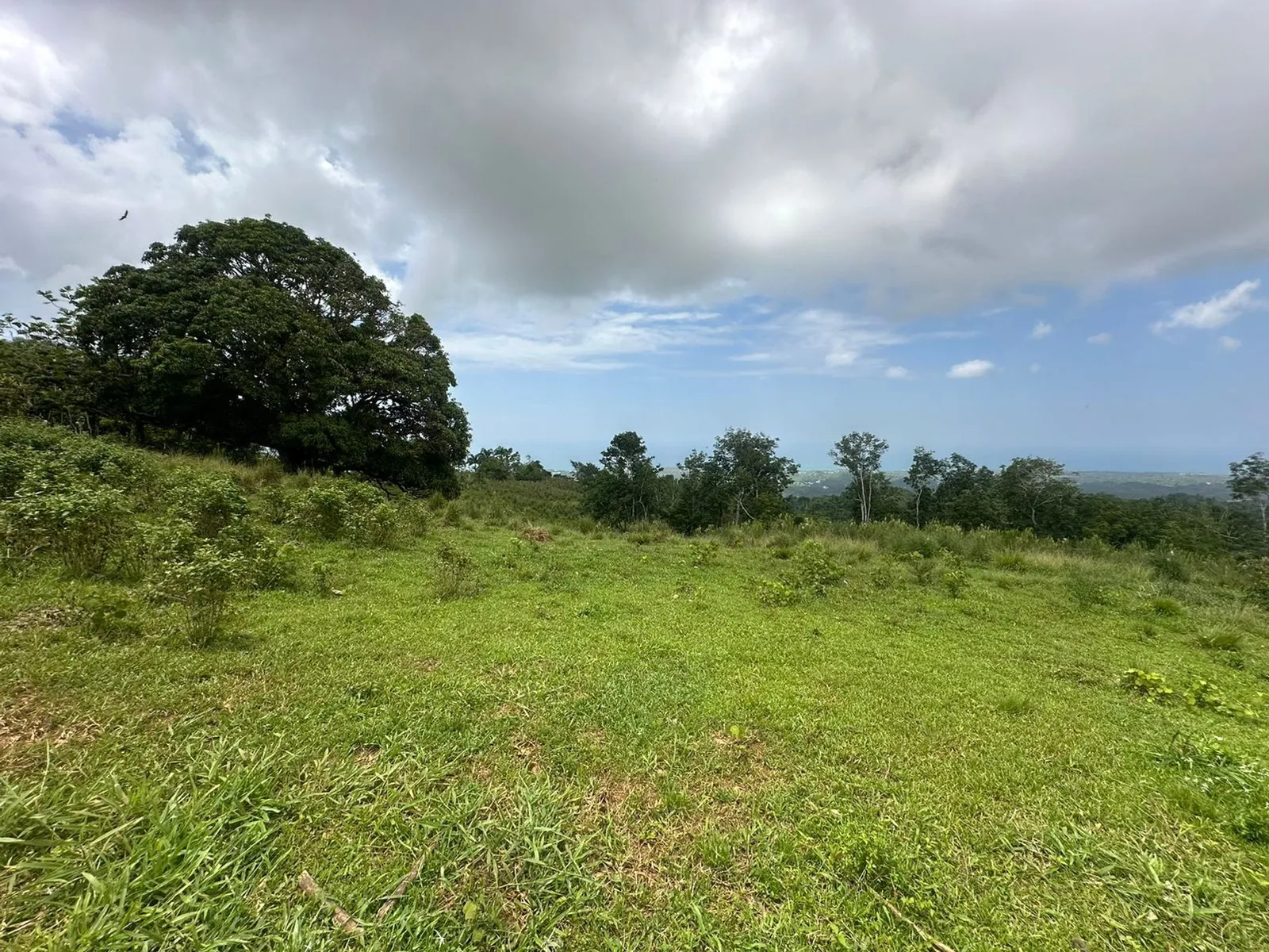 Terrain à Los Puentes, Las Terrenas Samana, photo 8