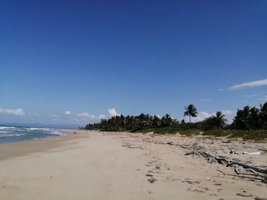 NUOVA OFFERTA – TERRENO FRONTE MARE – CABARETE, foto 14