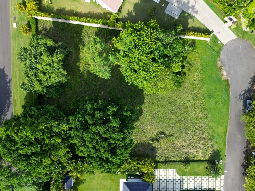 Terreno Exclusivo en la Zona Premium de Cabarete, foto principal