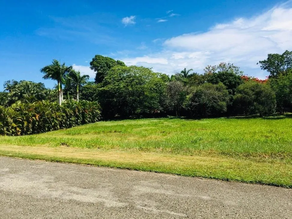 Tu Futuro Hogar de Lujo en la Costa Norte – Terreno Residencial Disponible., foto 7