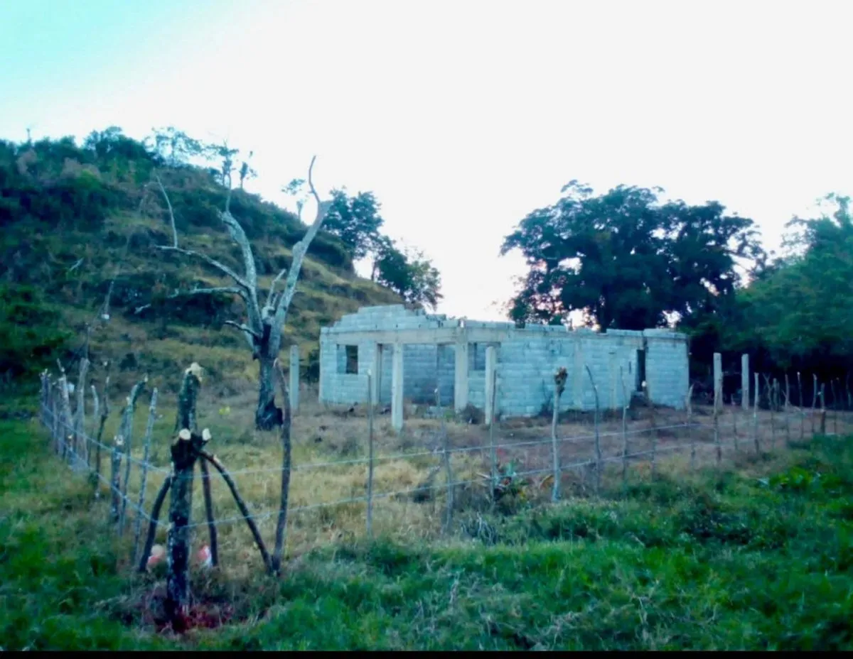Land in Cabrera, El Pujador Sector, photo 4