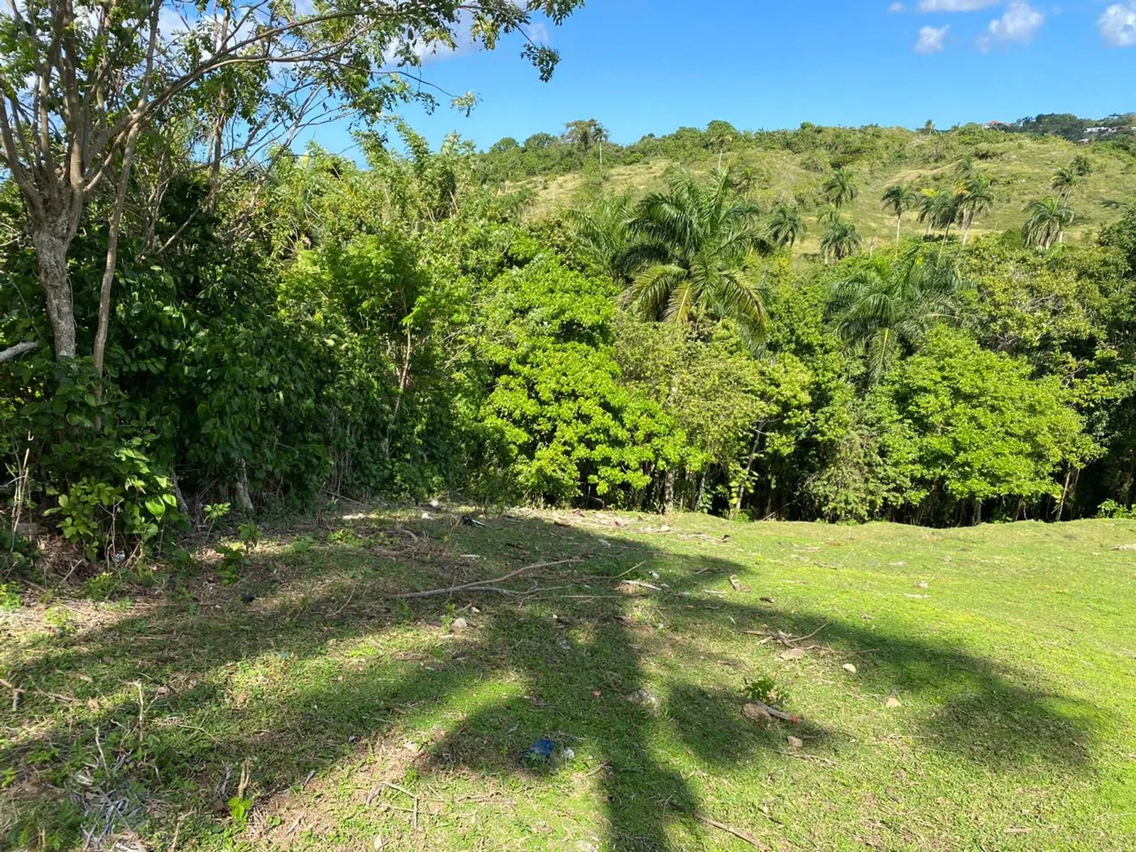 Terrain de 6 287 m² à Urb. Aurora | Rio San Juan, photo 11