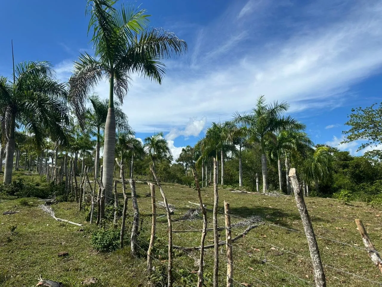 Terreno a El Cupey, Puerto Plata – Vista sul Mare e sulla Montagna, foto 10