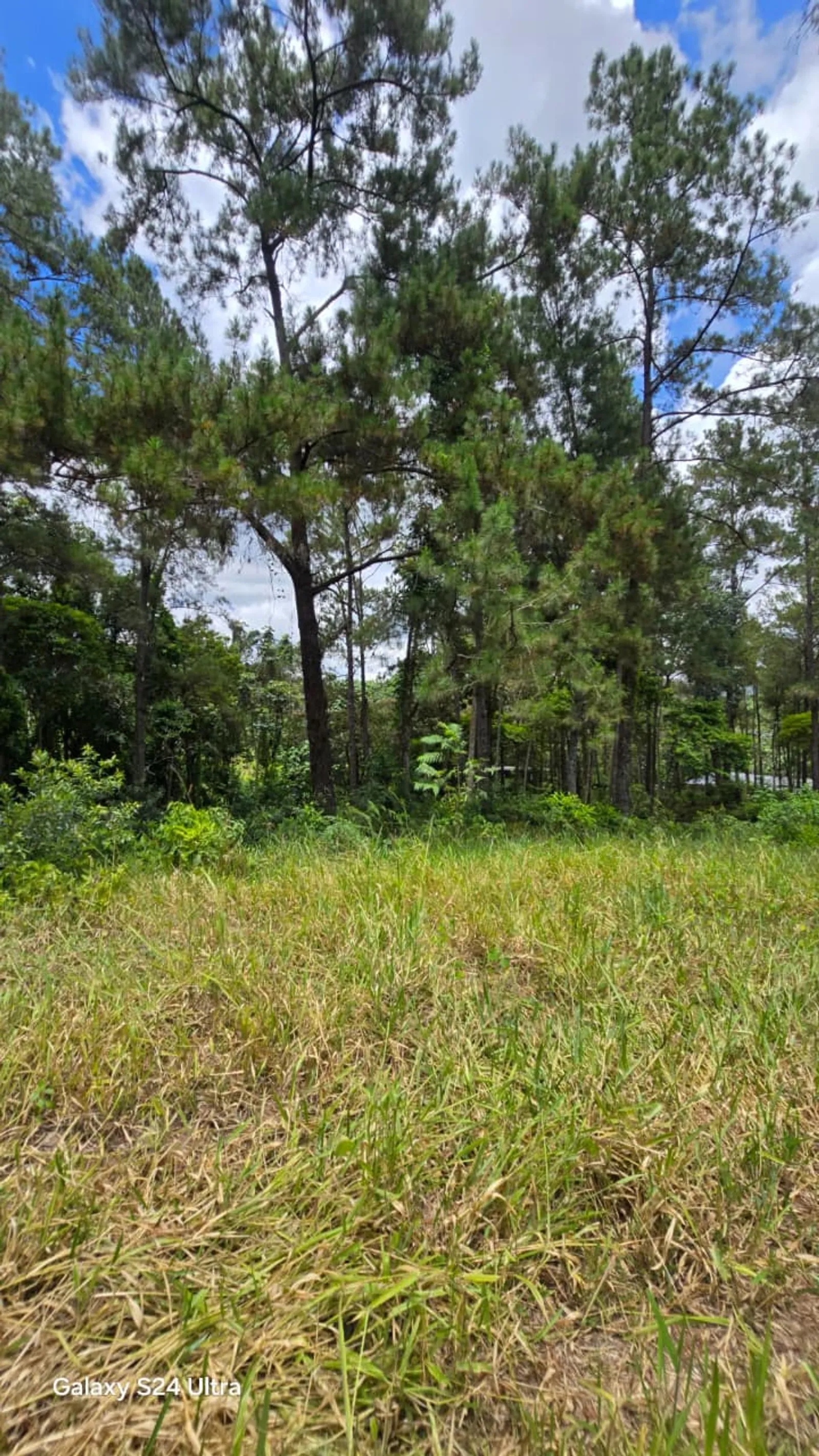 Terreno en Jarabacoa, foto 7