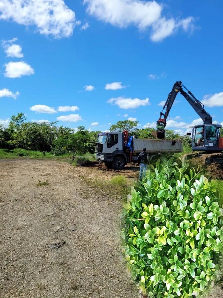 Land in Nagua, Proyecto Nueva Nagua, photo 6