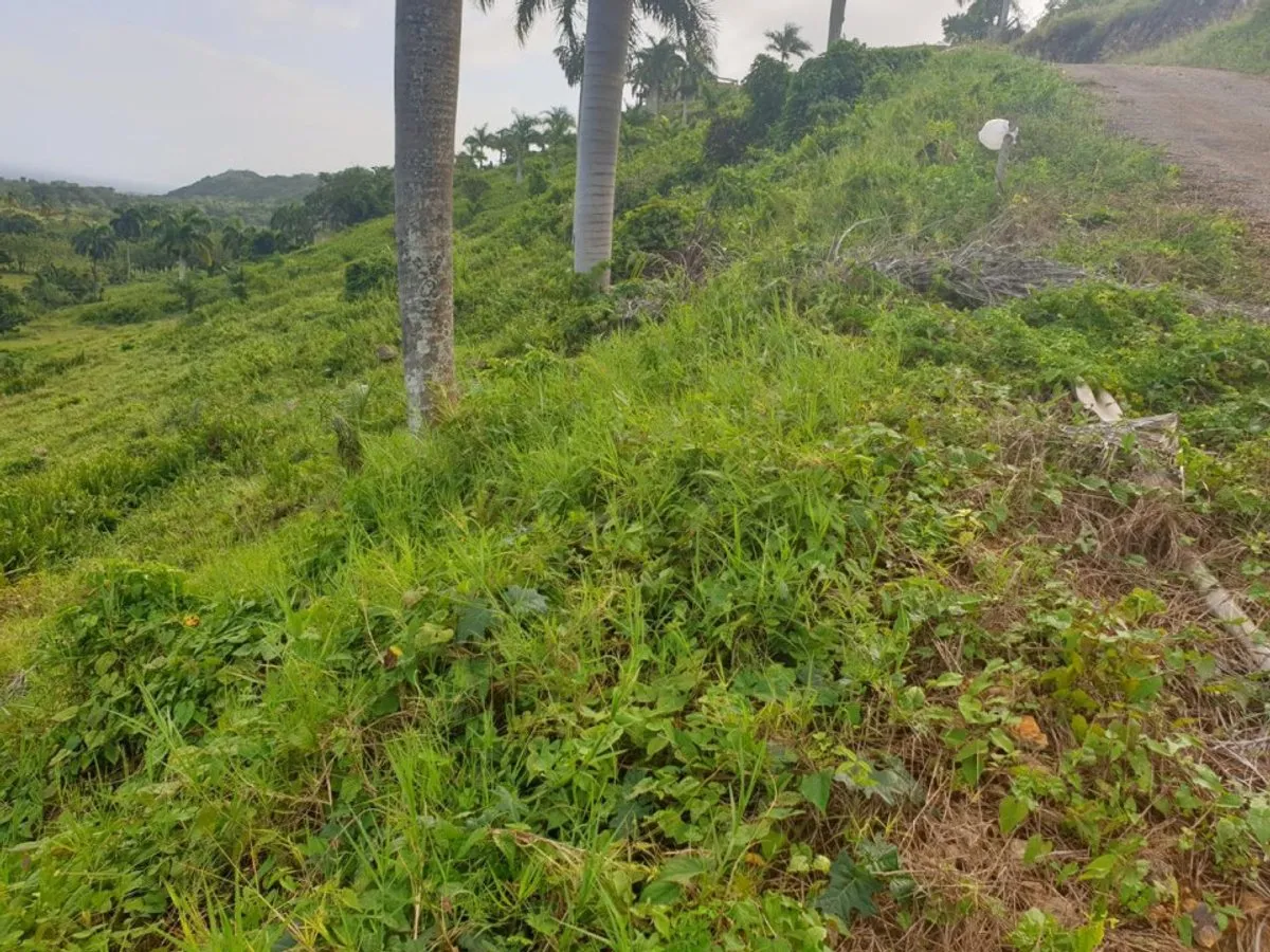 Terreno en Loma de Cabrera, Los Candelones, foto 4