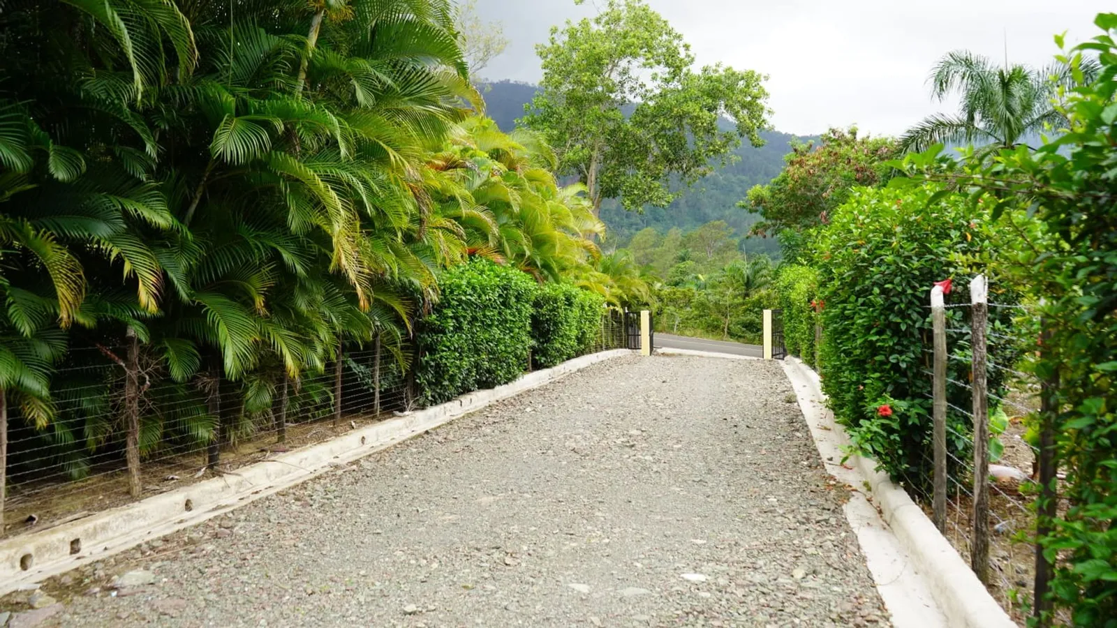 VILLA À JARABACOA | 5 CHAMBRES | 4,085 M2, photo 3