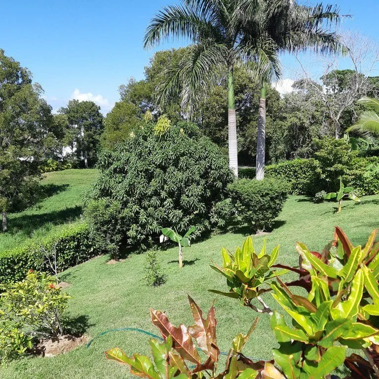 Villa avec vue sur l'océan et les montagnes, photo 8