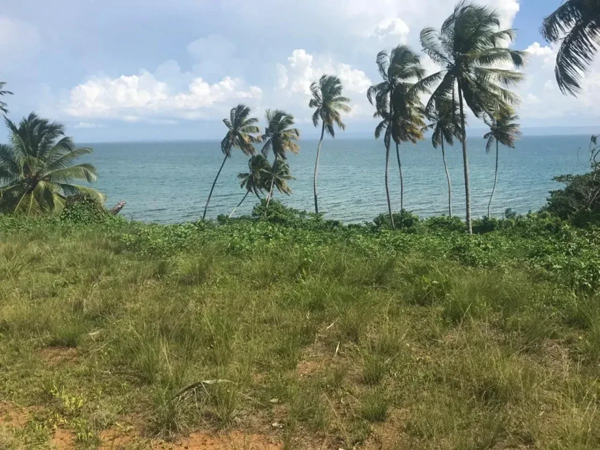 Grundstück in Santa Bárbara, Samaná, Foto 3