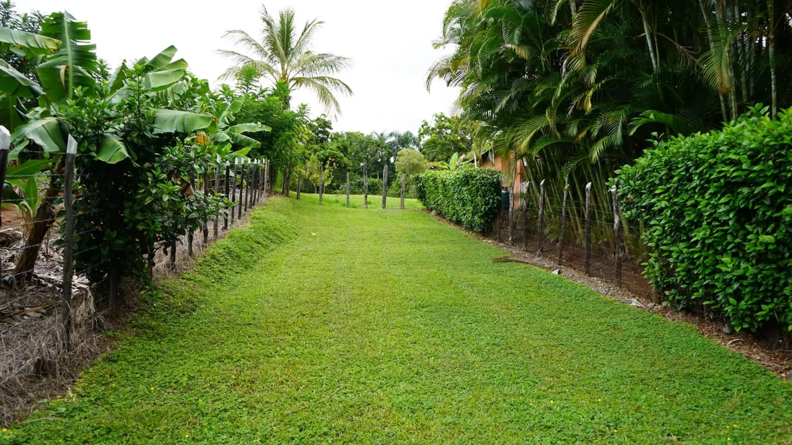 VILLA À JARABACOA | 5 CHAMBRES | 4,085 M2, photo 6