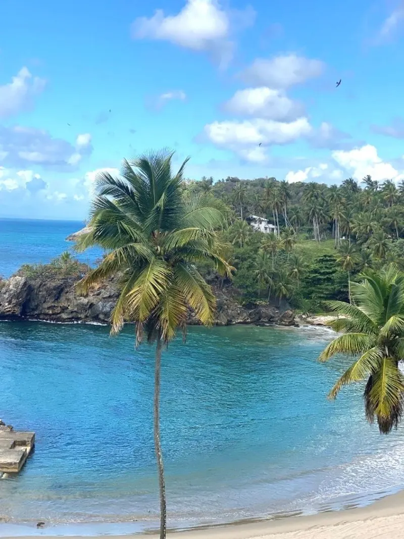 Grundstück in Samaná, Los Cacaos, USD$ 3,500,000