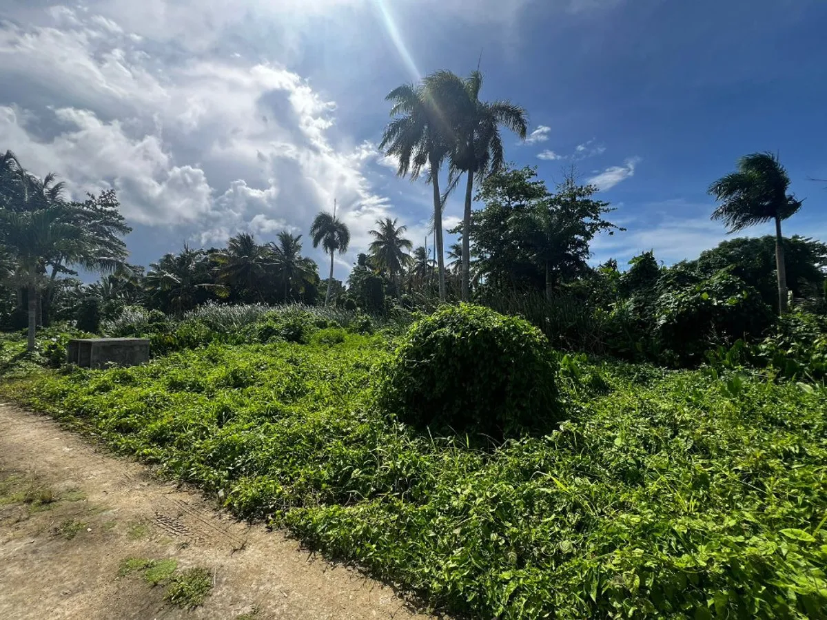 Land in Samaná Las Terrenas, Los Pescadores, photo 4