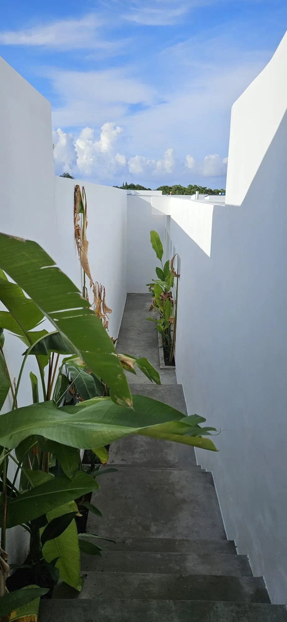 La tua opportunità di vivere o investire in una villa di lusso a Sosúa., foto 2