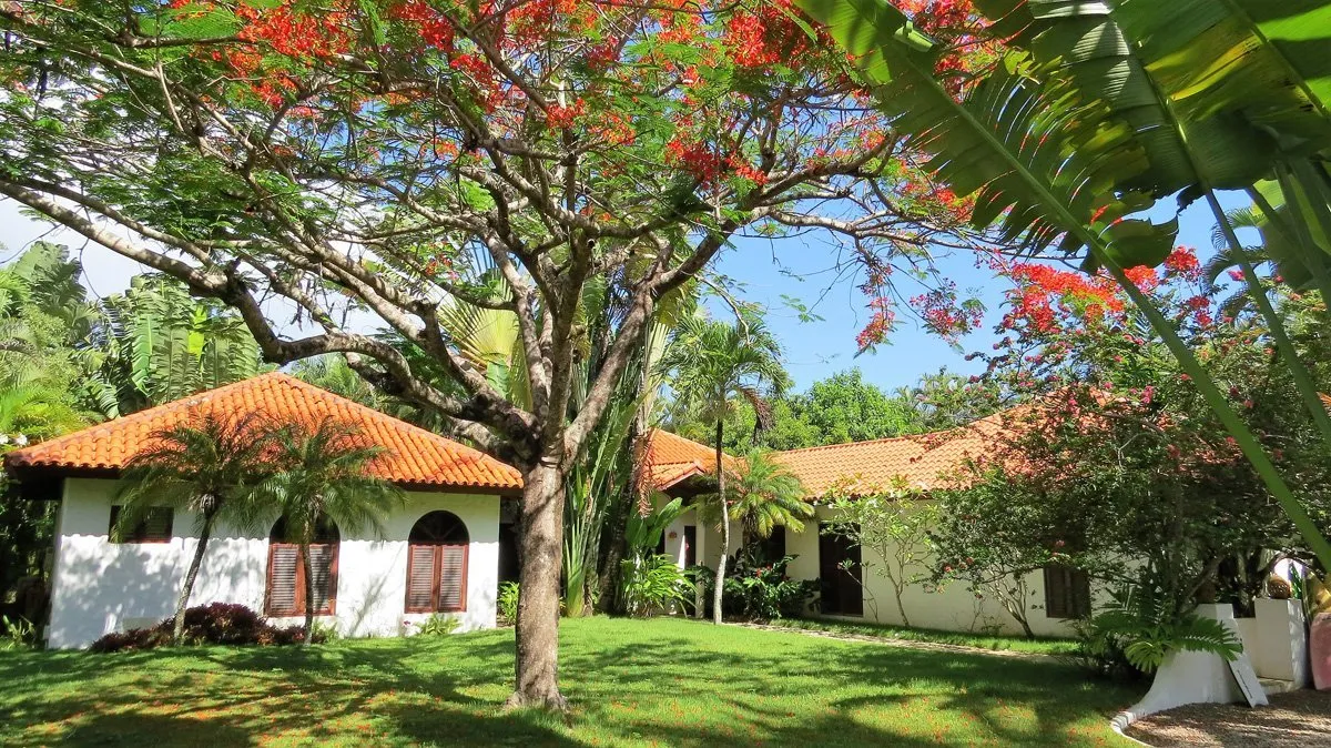 Villa Coralina: Caribbean Charm with Ocean Views in Sea Horse Ranch, photo 6