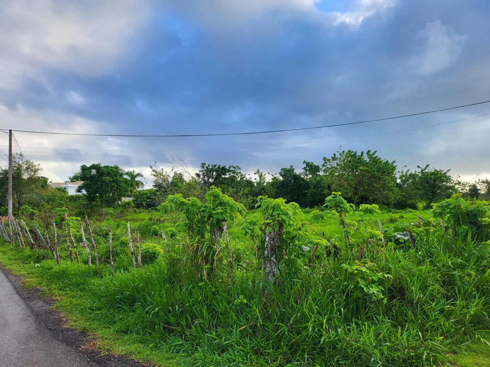 Land in Sosúa, photo 3
