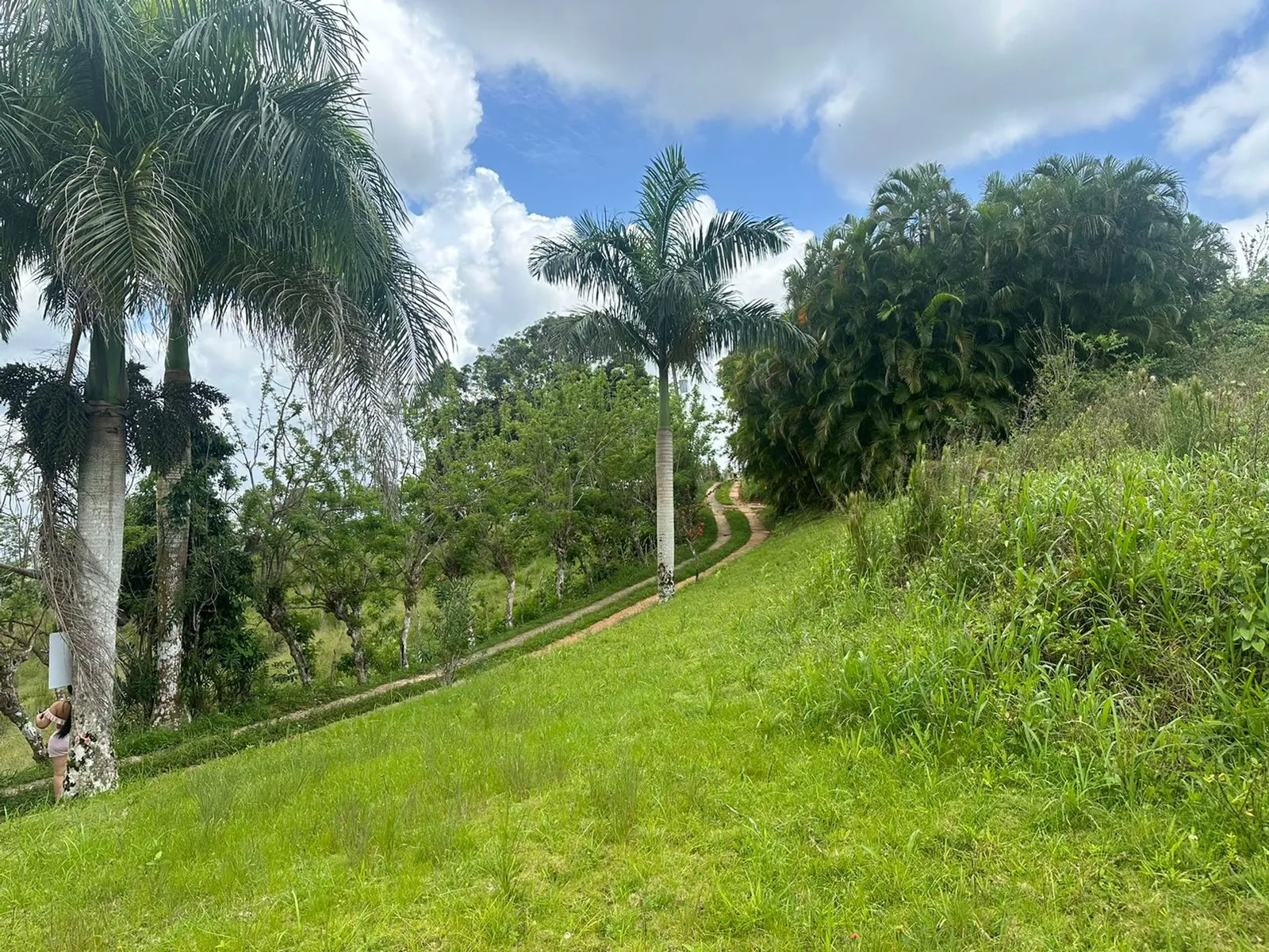 Terrain à Los Puentes, Las Terrenas Samana, photo 11