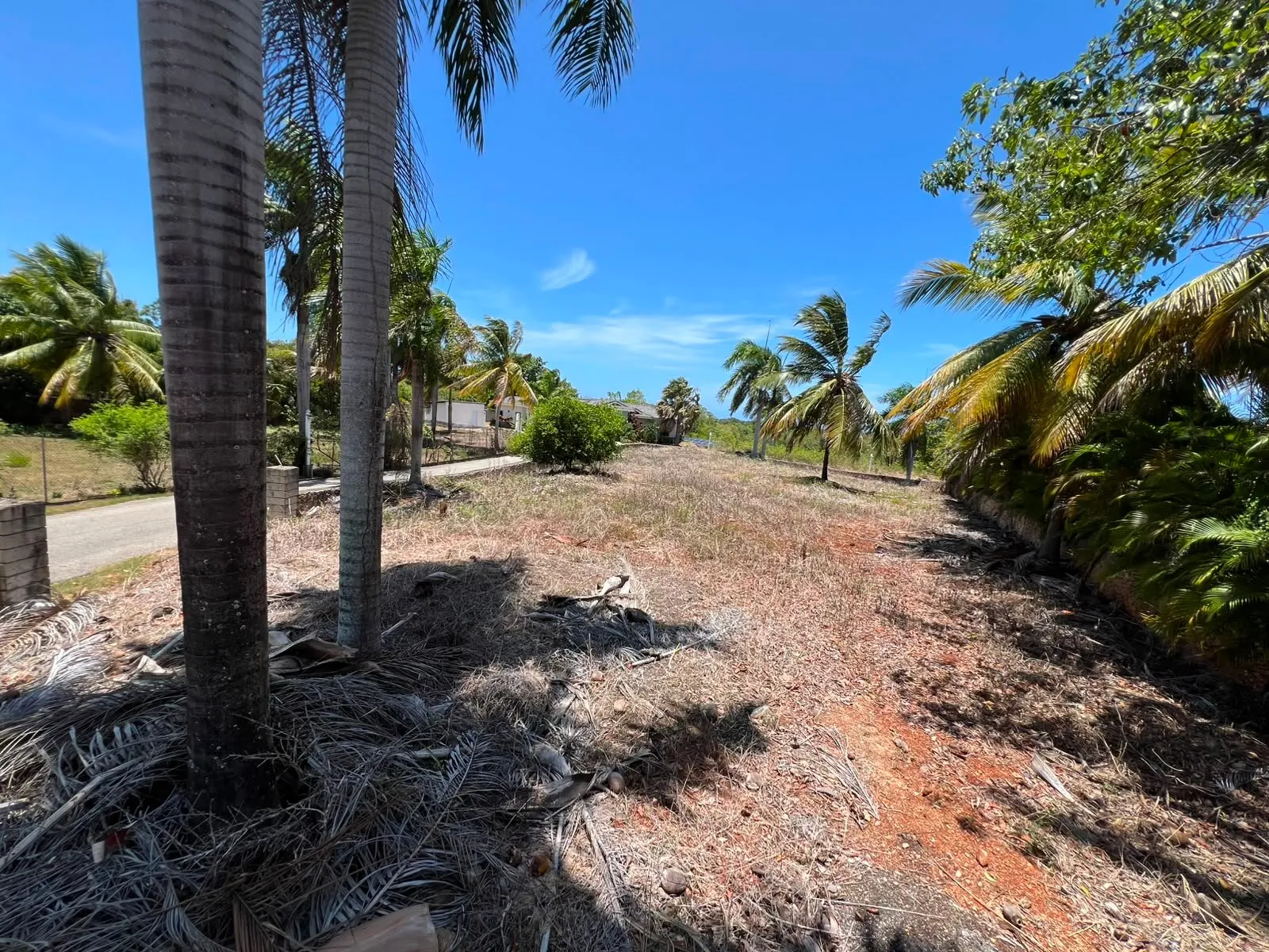 Land for sale Lomas Mironas, photo 3