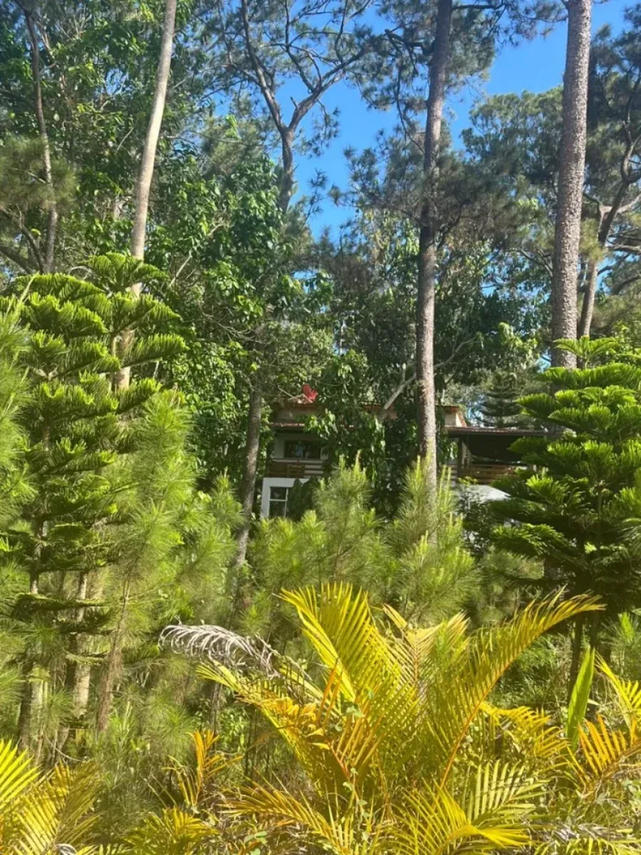 Terreno a Alterra Village, Jarabacoa, foto 5