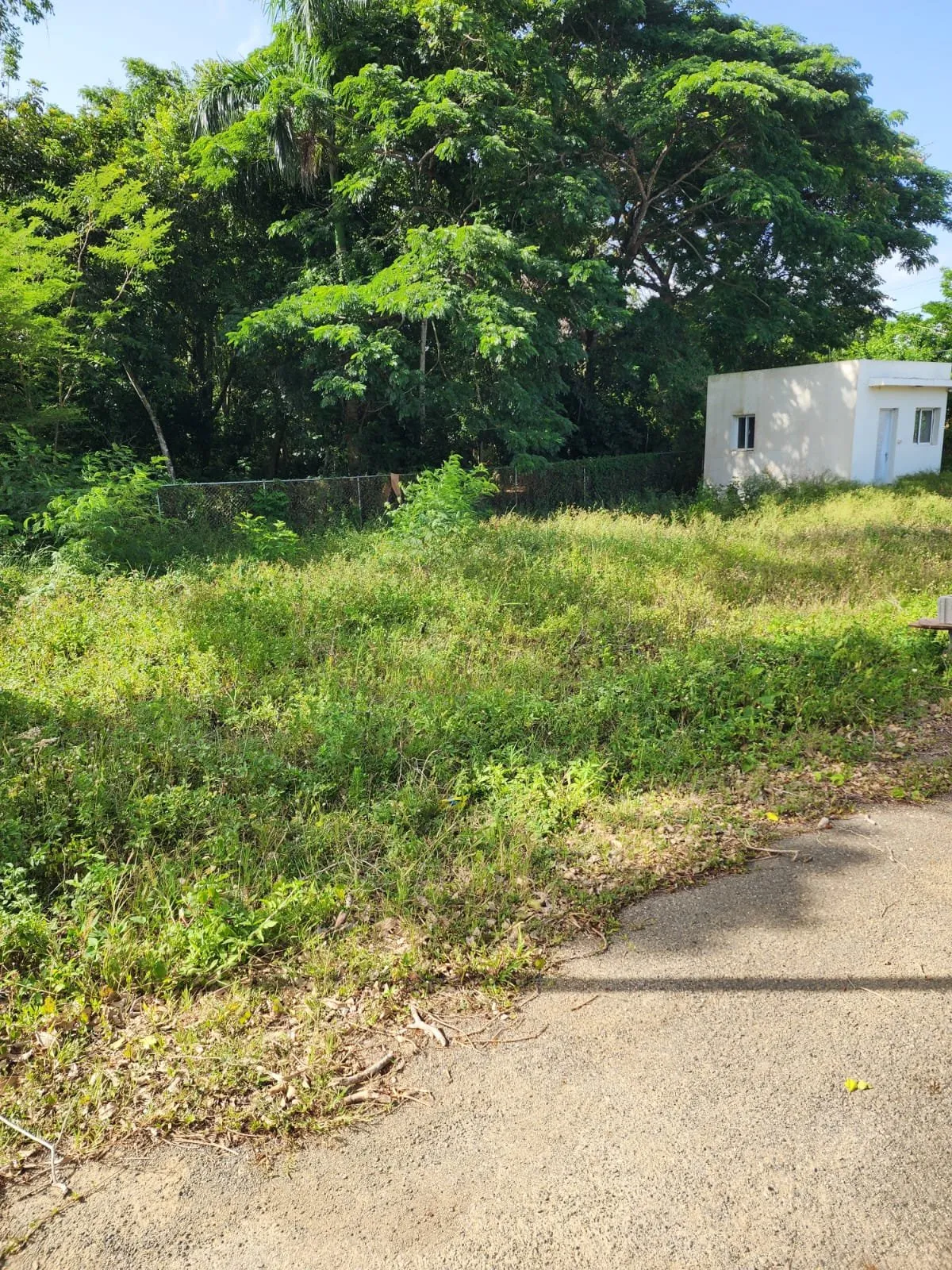 Lot for sale in La Mulata, photo 5