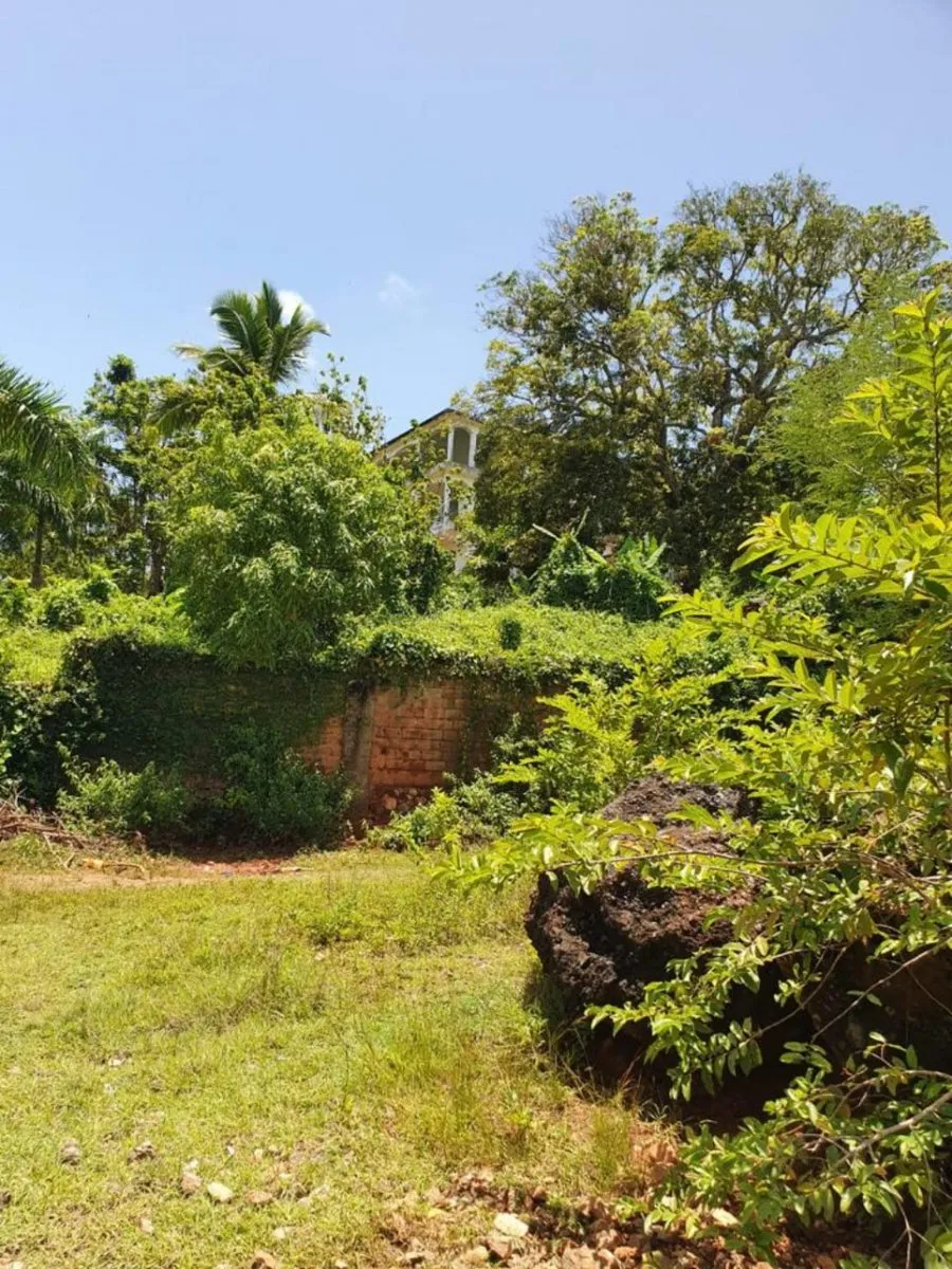 Land in Bella Vista, Samaná, main photo
