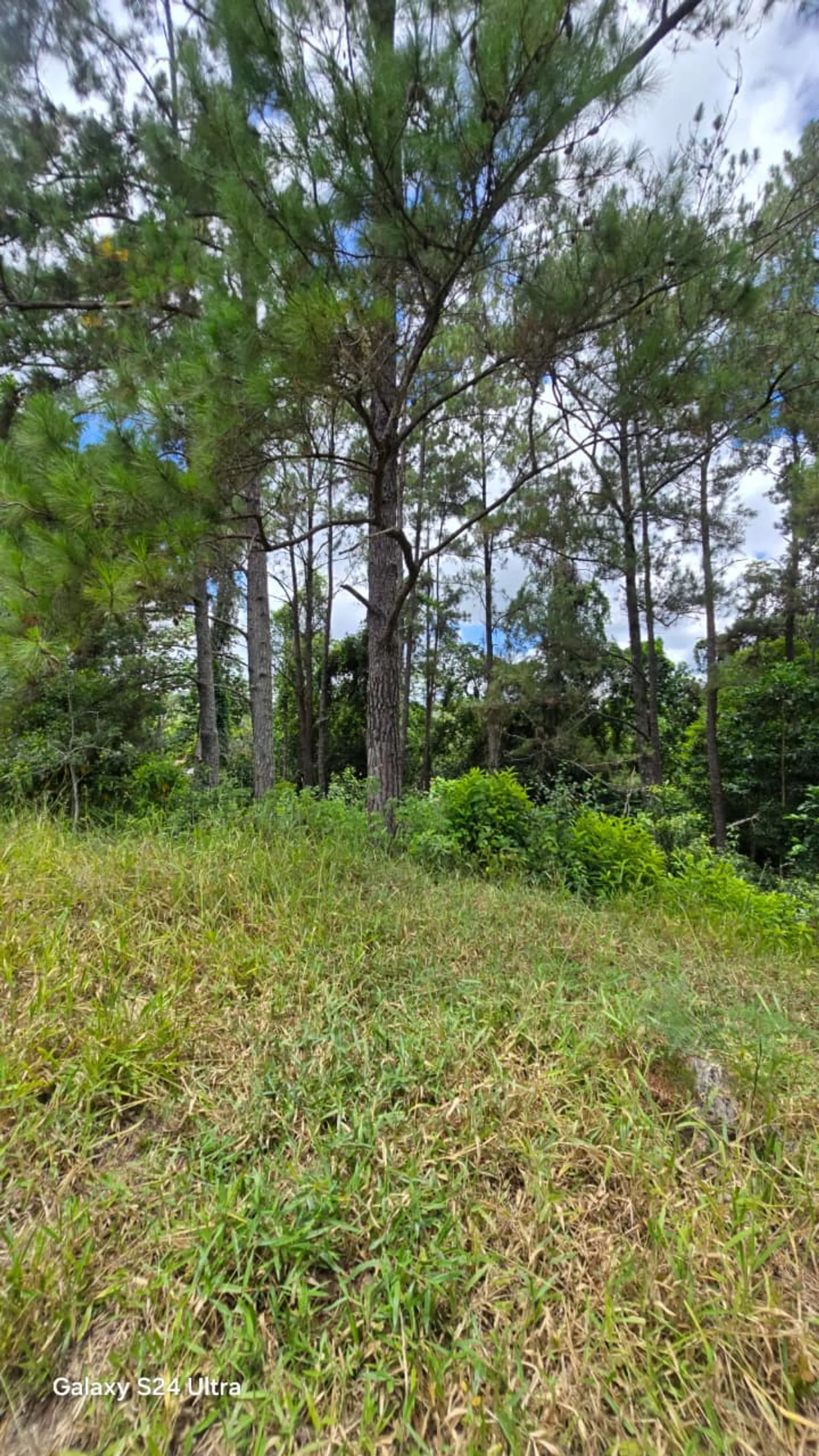 Terreno en Jarabacoa, foto 14