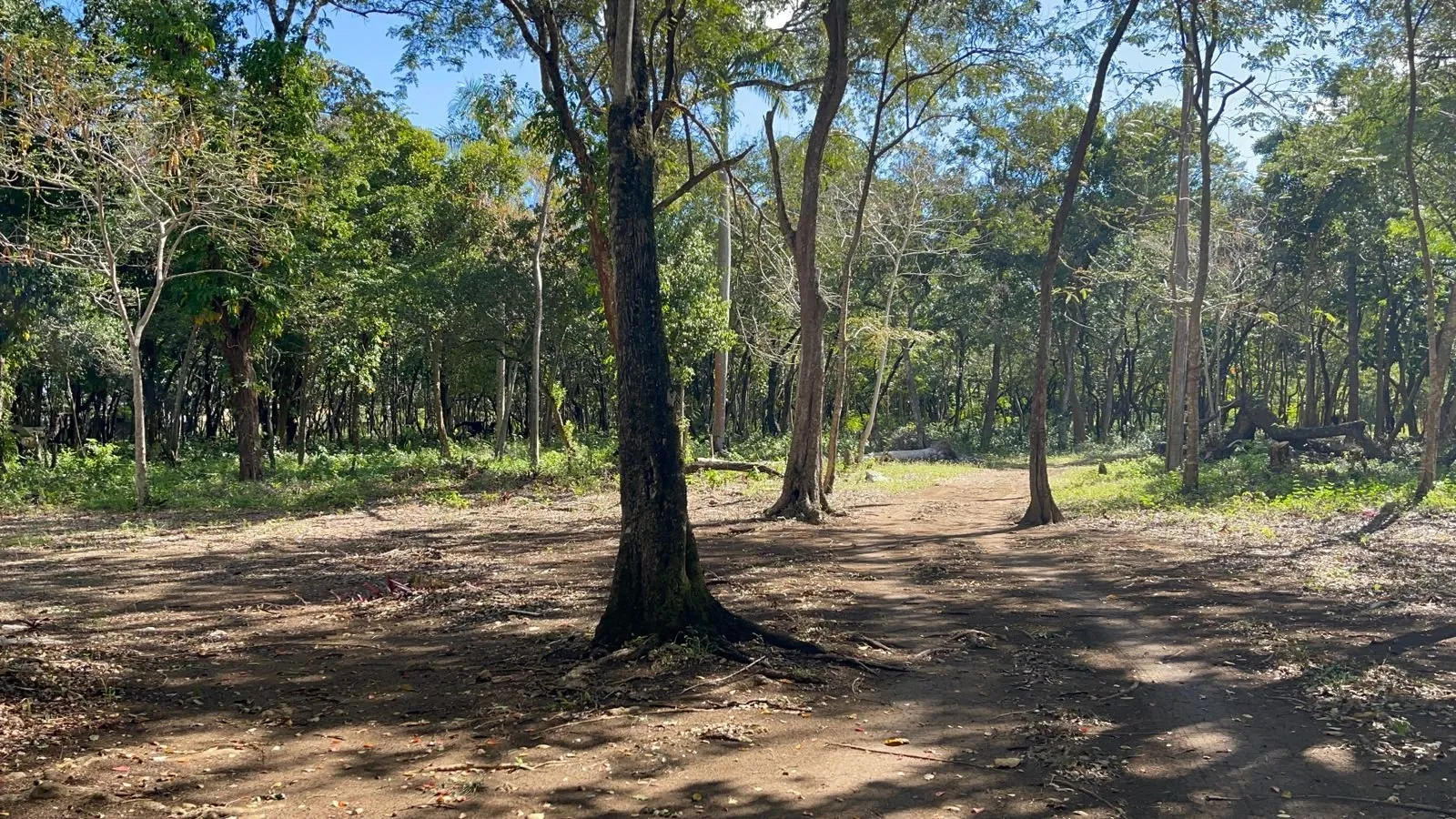 MARAVILLOSO TERRENO FRENTE AL MAR, foto 3