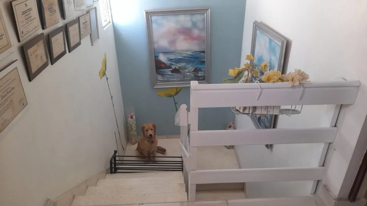 Se vende apartamento town house 3 niveles, foto 4