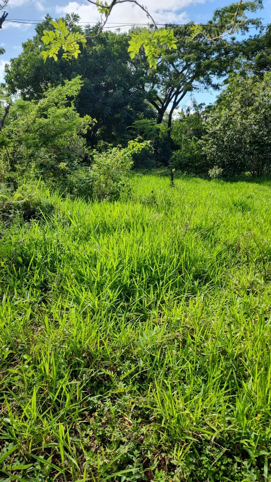 NEW LISTING – LAND AVAILABLE IN SOSÚA, photo 2