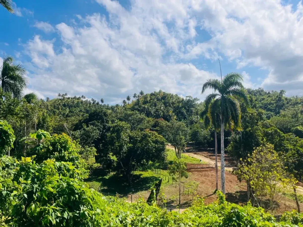 Grundstück in Santa Bárbara, Samaná, Foto 5
