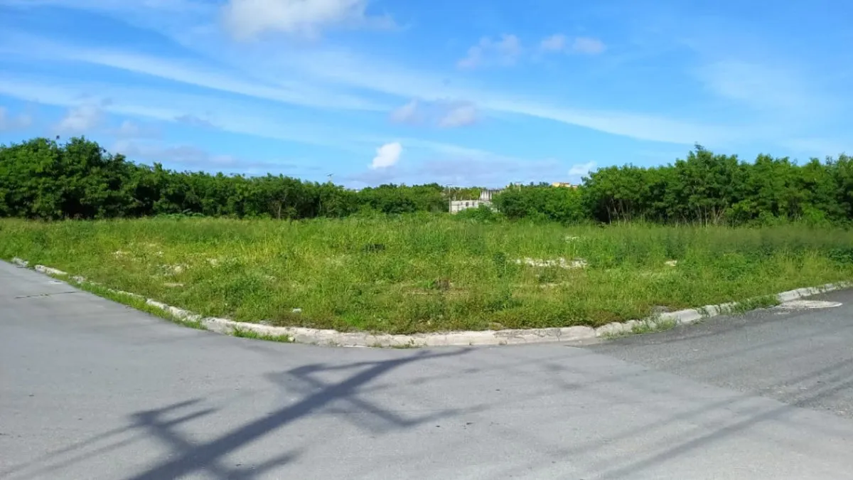Land in Punta Cana, Bavaro, main photo
