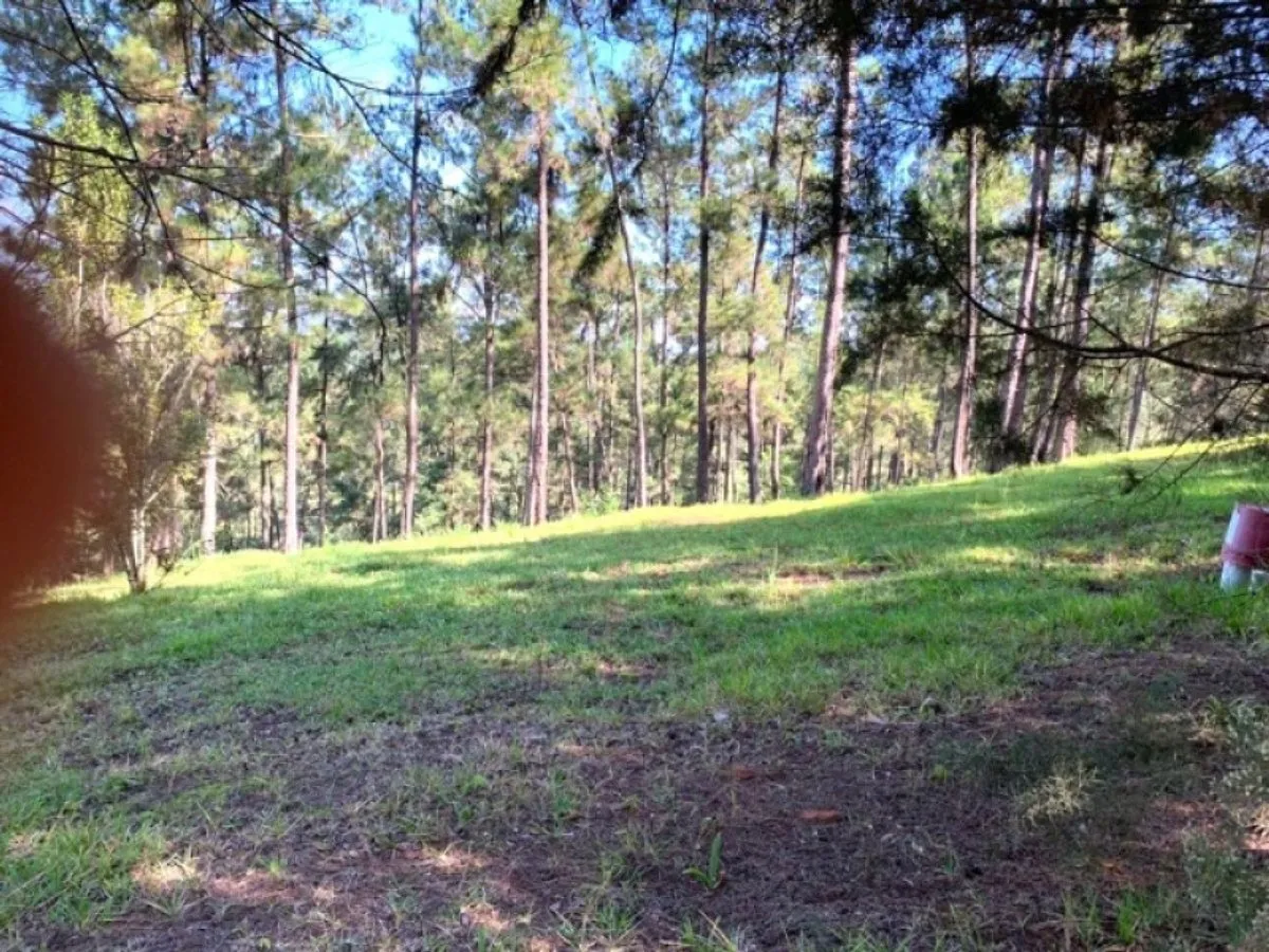 Land in Jarabacoa, Jarabacoa, photo 4