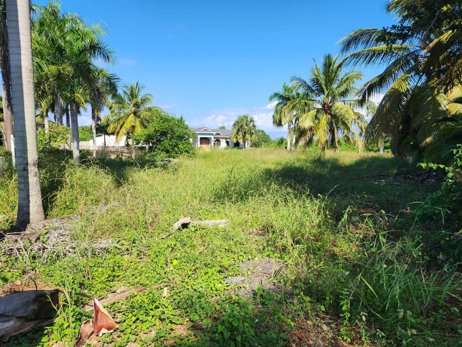 OPPORTUNITÉ DE TERRAIN – À CABARETE, photo 8