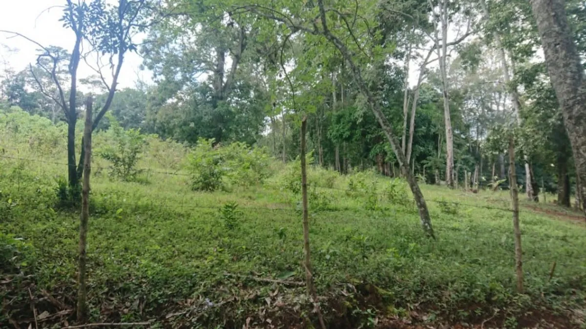 Grundstück In La Quebrada, Jarabacoa, Foto 3