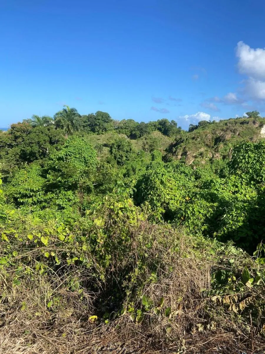 Land for Sale in Río San Juan, Santa Lucía, photo 3