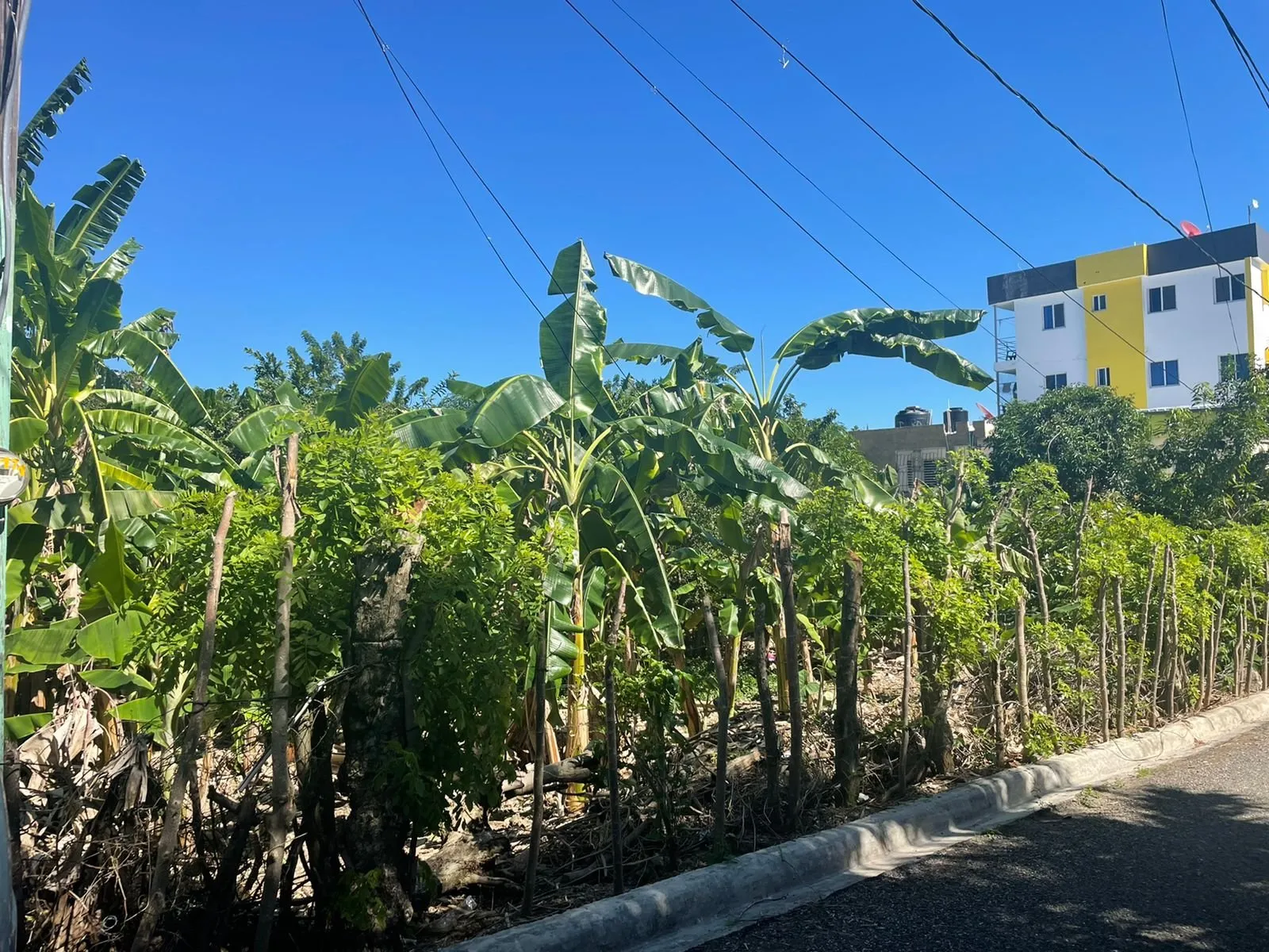 Grundstück in Puerto Plata, Foto 2
