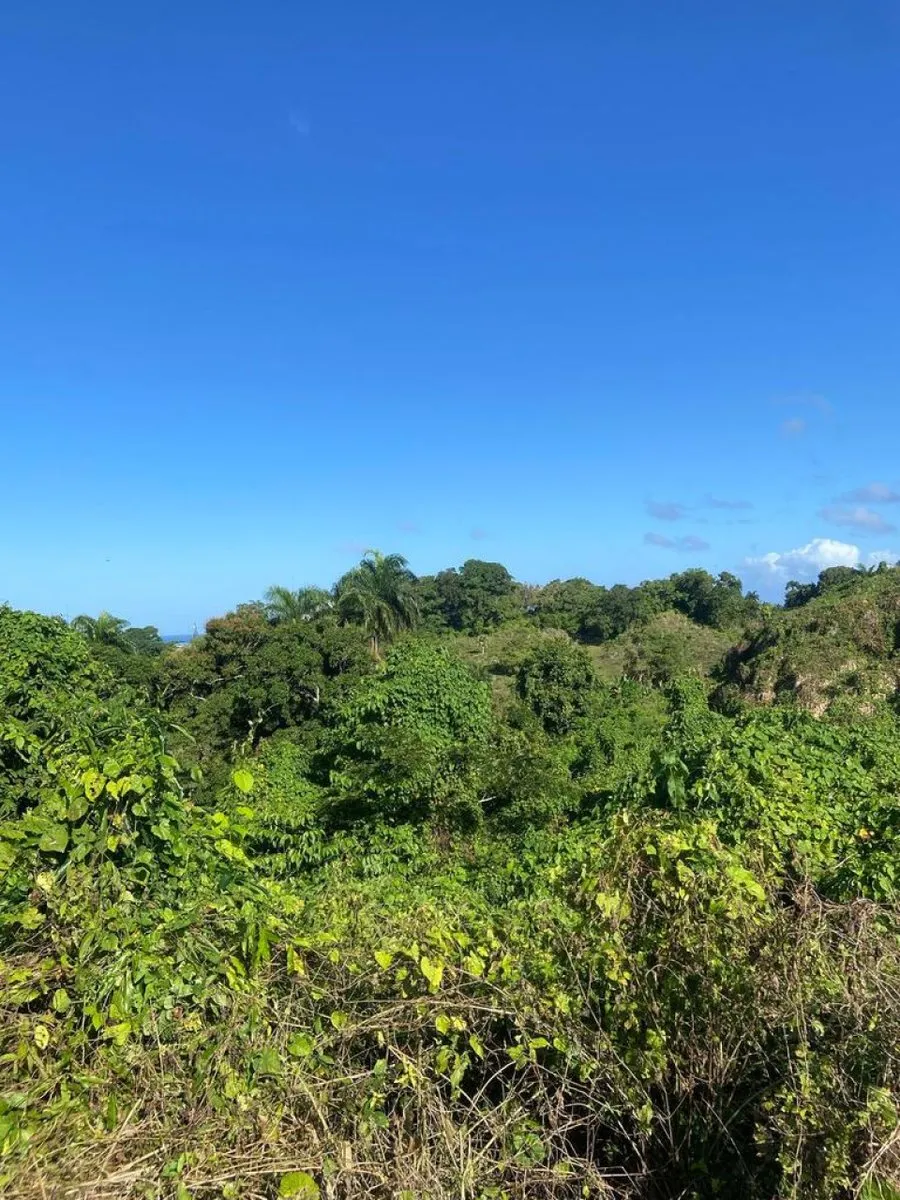Land for Sale in Río San Juan, Santa Lucía, photo 8
