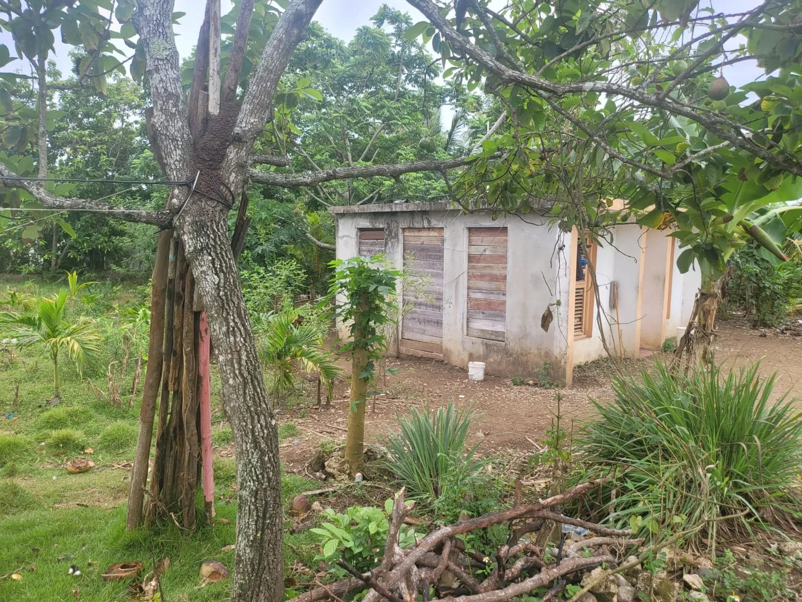 OFERTA – TERRENO EN CABARETE DISPONIBLE, foto 4