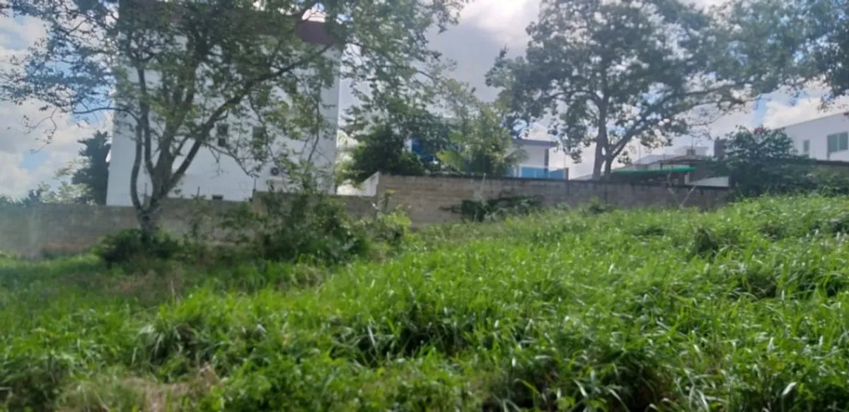 Terreno En Centro De La Ciudad, Higüey, foto 2