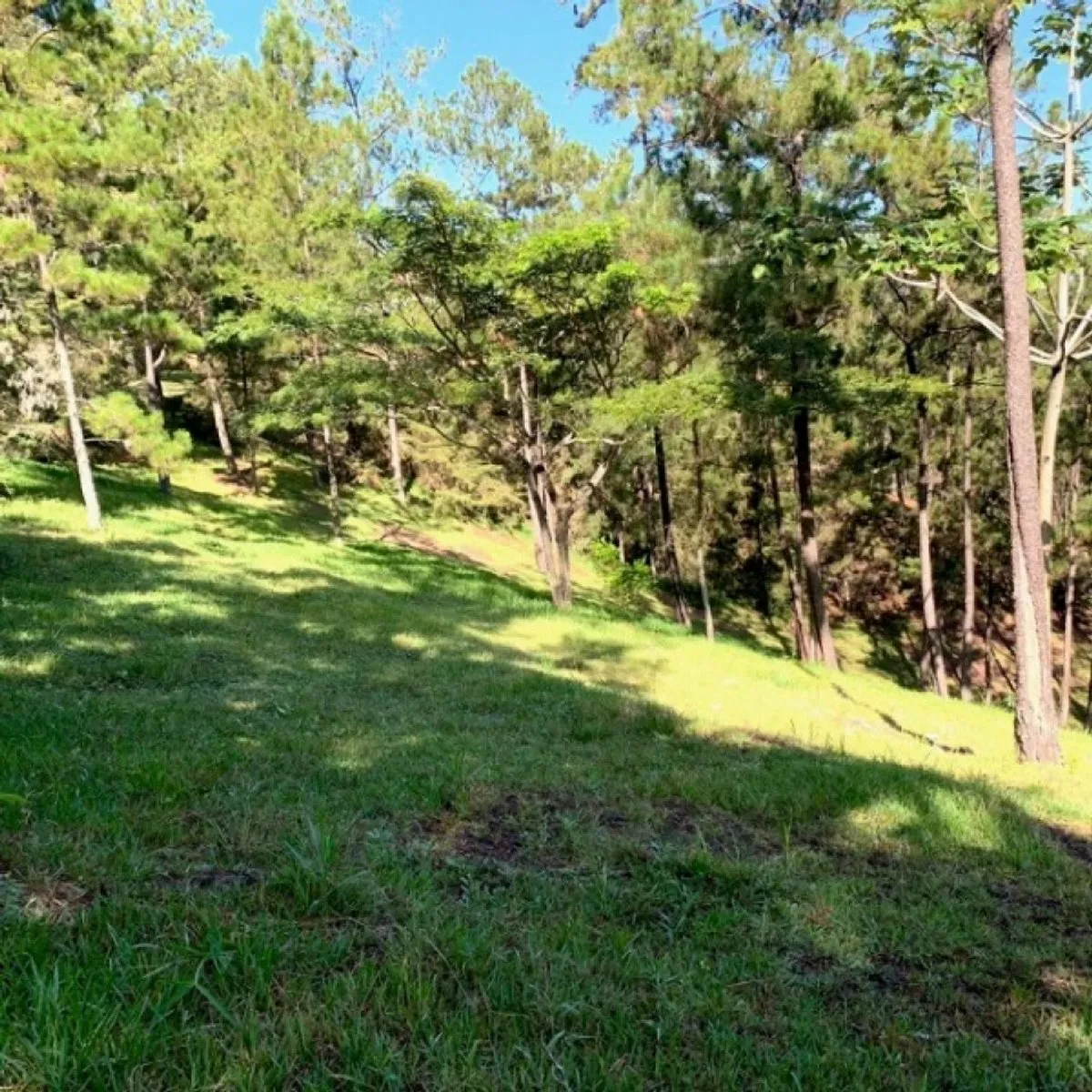 Land in Jarabacoa, Jarabacoa, photo 5