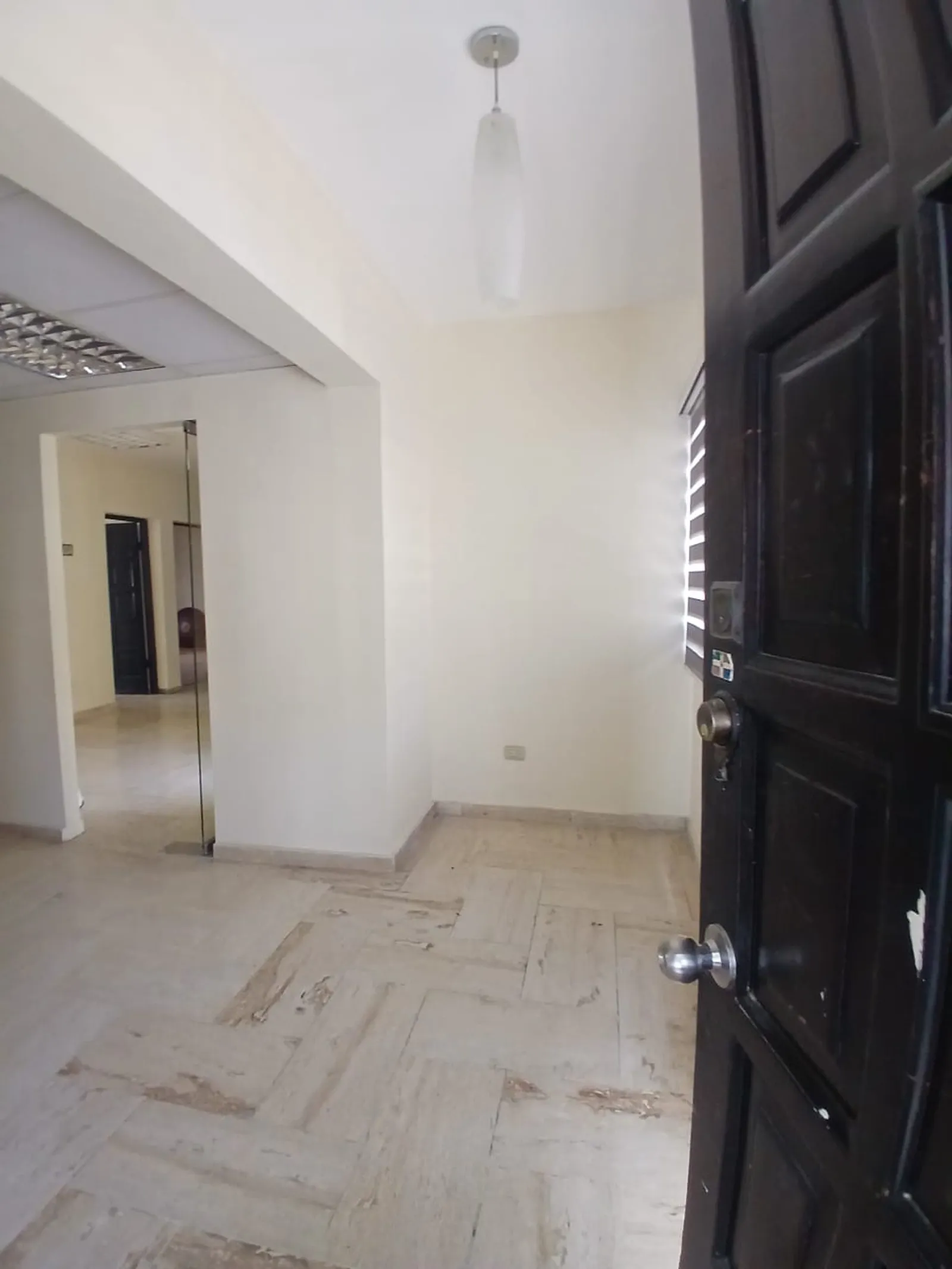 LOCAL COMMERCIAL EN VENTE 151 M² EVARISTO MORALES, photo 2