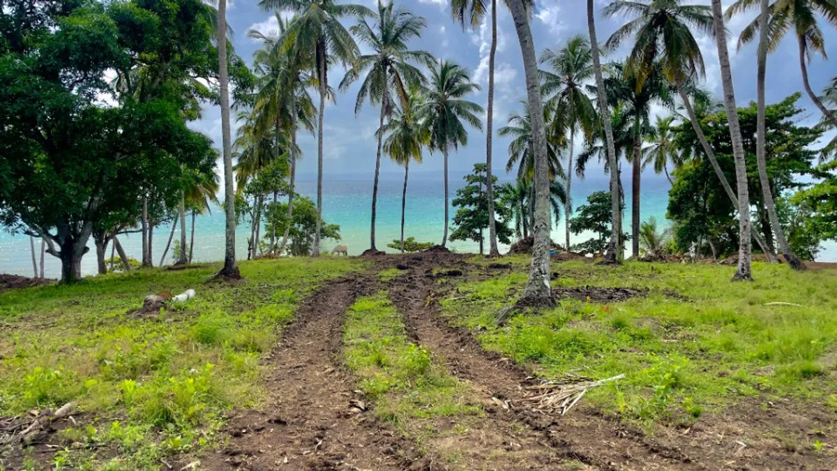 Grundstück in Santa Bárbara, Samaná, Foto 11