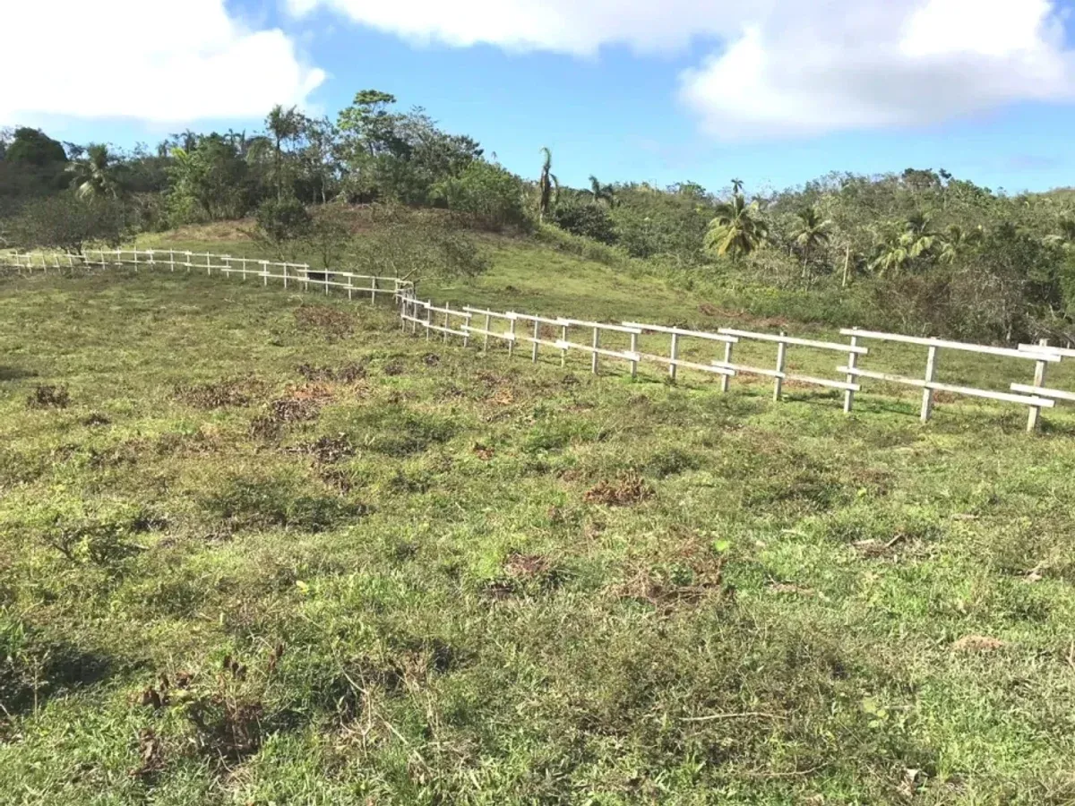 Terrain à Samaná Las Terrenas, Los Puentes, photo 10