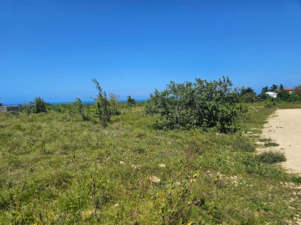 Terrain à CABARETE SOSÚA, photo 6