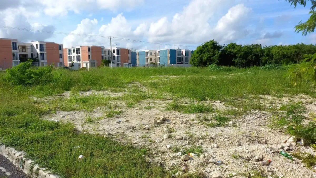 Land in Punta Cana, Bavaro, photo 3