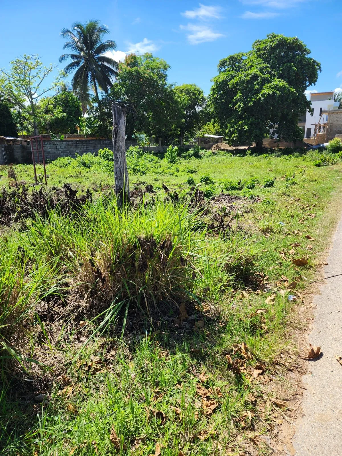 VENTA DE TERRENO CABARETE, foto 7