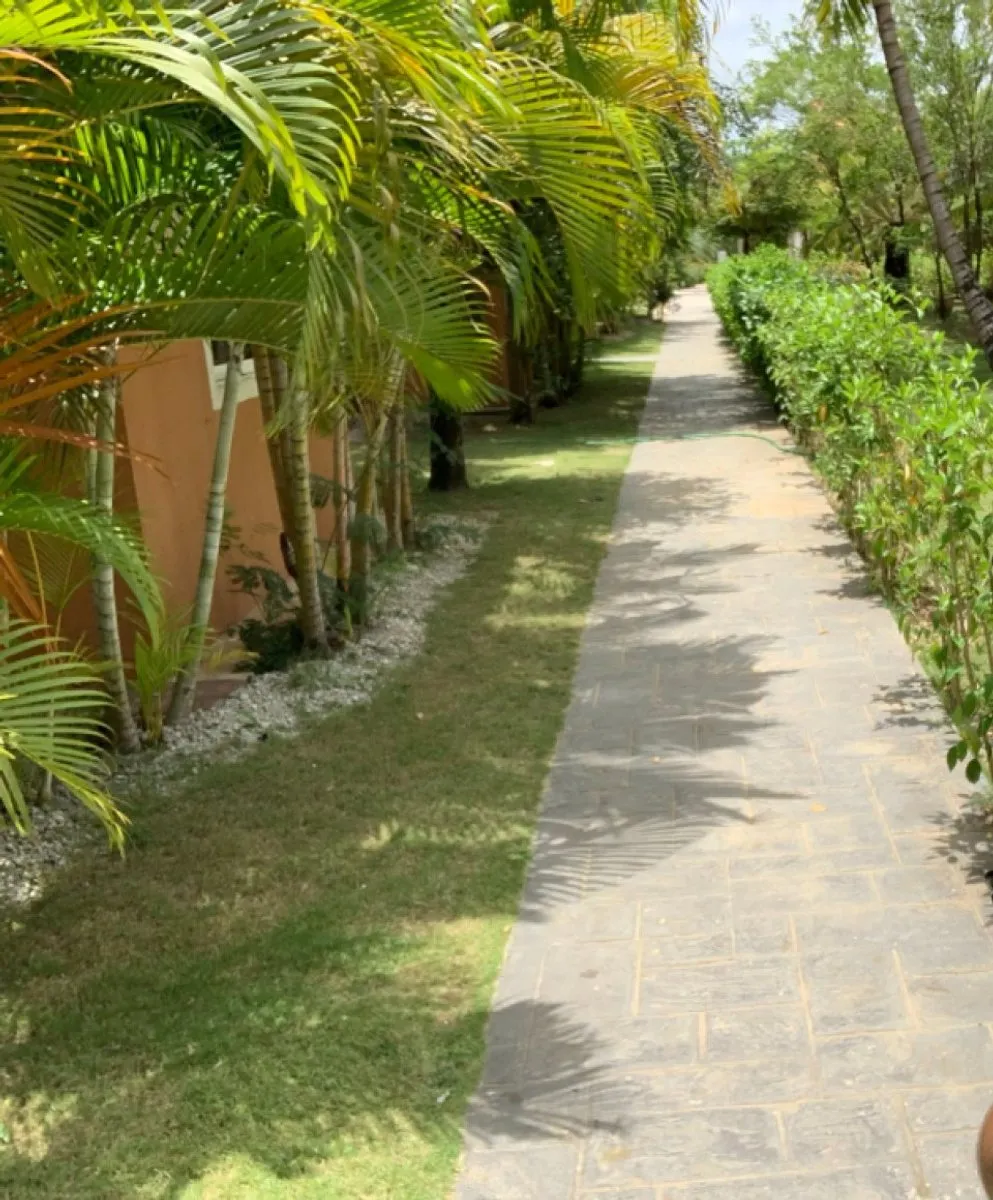 Caribbean Life Apto I-301, photo 3