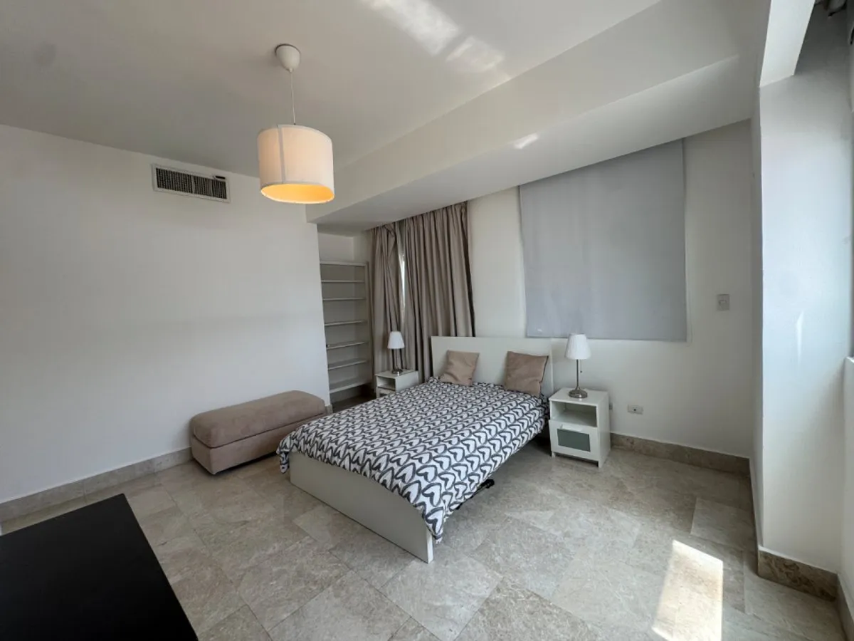 VERKAUF VON APARTMENT IN PIANTINI, SANTO DOMINGO., Foto 12